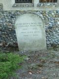 image number Dove John Scott 105